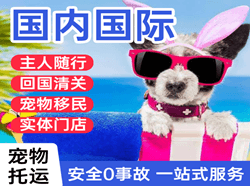 西郊国际宠物托运 【国